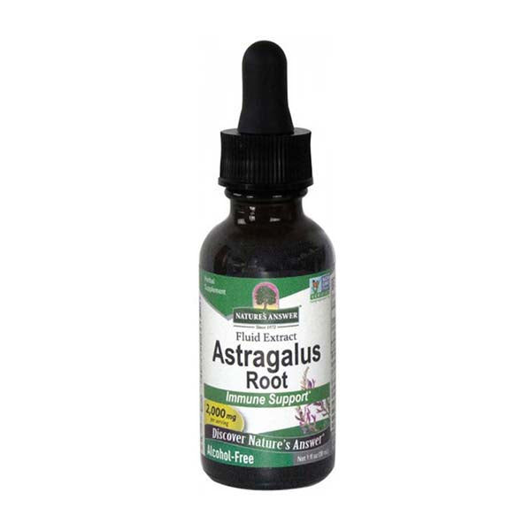 Astragalus Root - 30ml