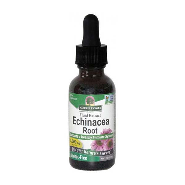 Echinacea Root - 30ml