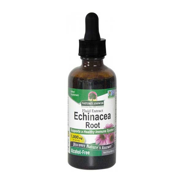 Echinacea Root - 60ml