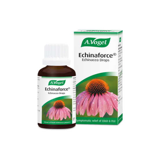 Echinaforce Echinacea Drops 100ml