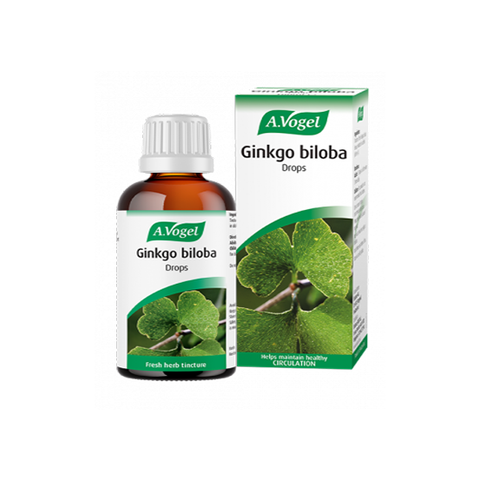 Ginkgo biloba 50ml