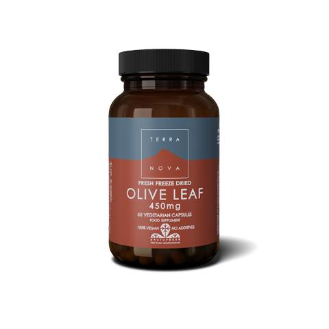 Olive Leaf 450mg 50's