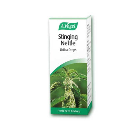 Stinging Nettle