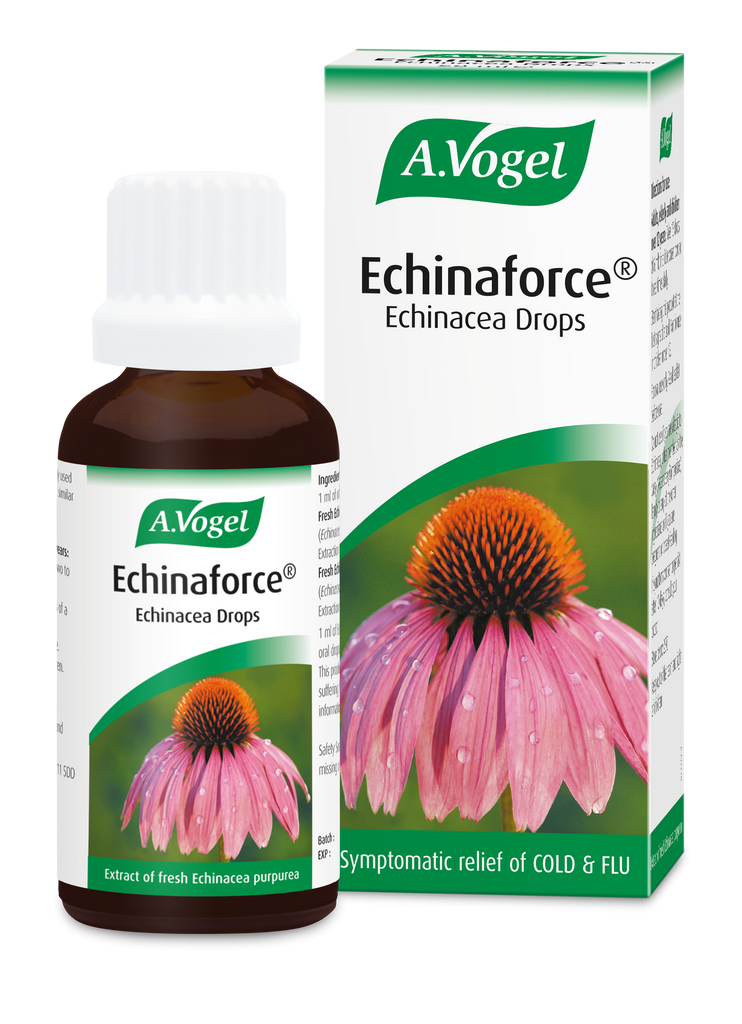 Echinaforce® - Echinacea Drops for cold and flu relief