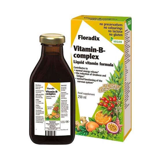 Floradix Liquid Vitamin B Complex 250ml