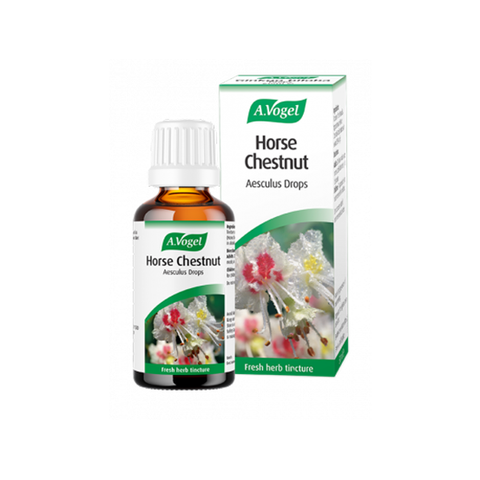 Horse Chestnut Aesculus Drops - 50ml